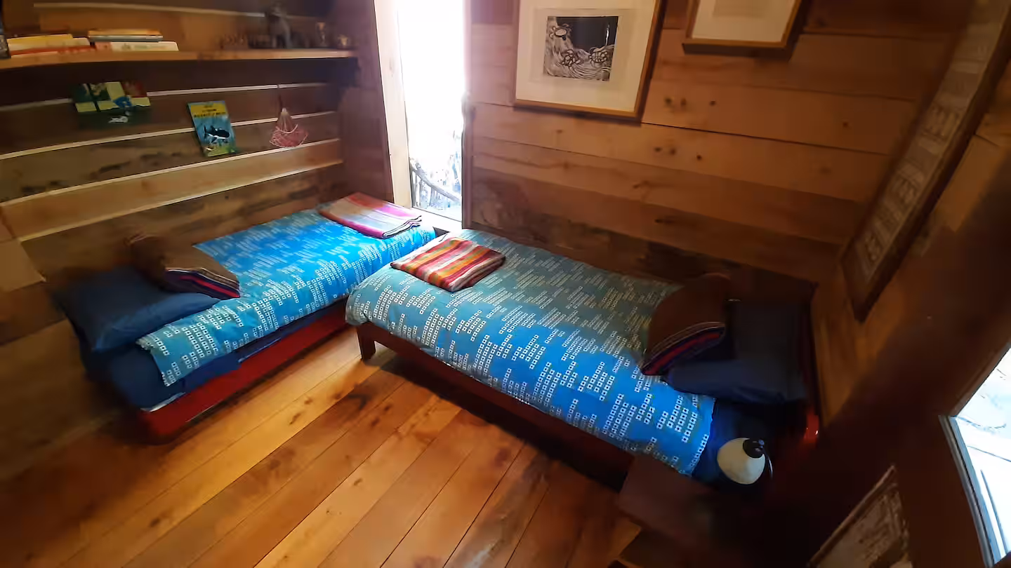 Peaceful forest path near the hut